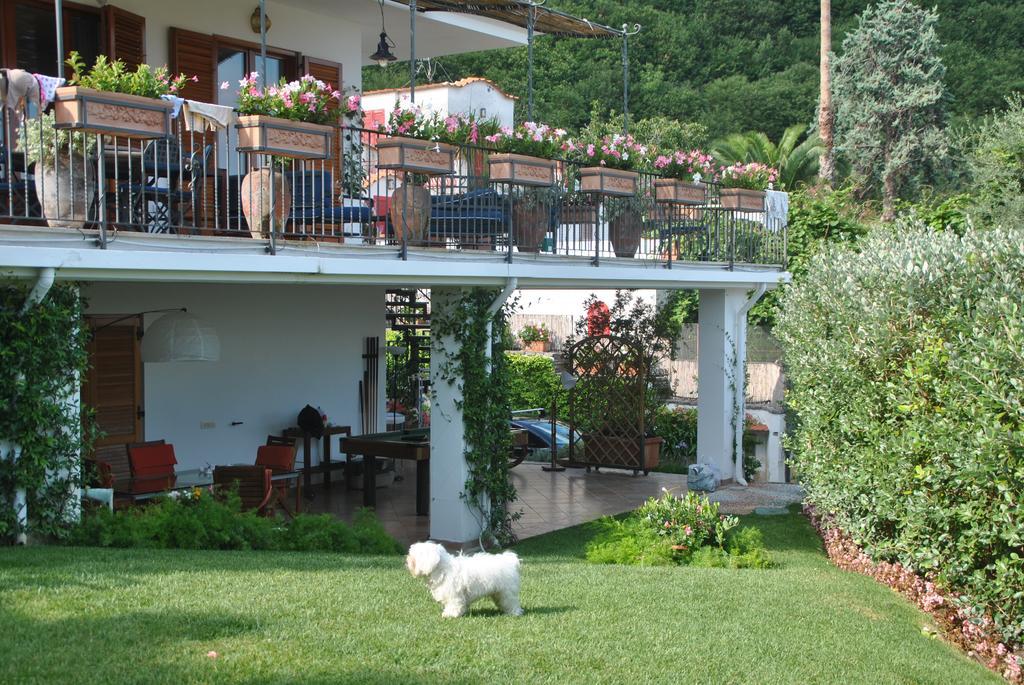 Casa Vacanze Villa Antonella By Gocce Vico Equense Exterior foto